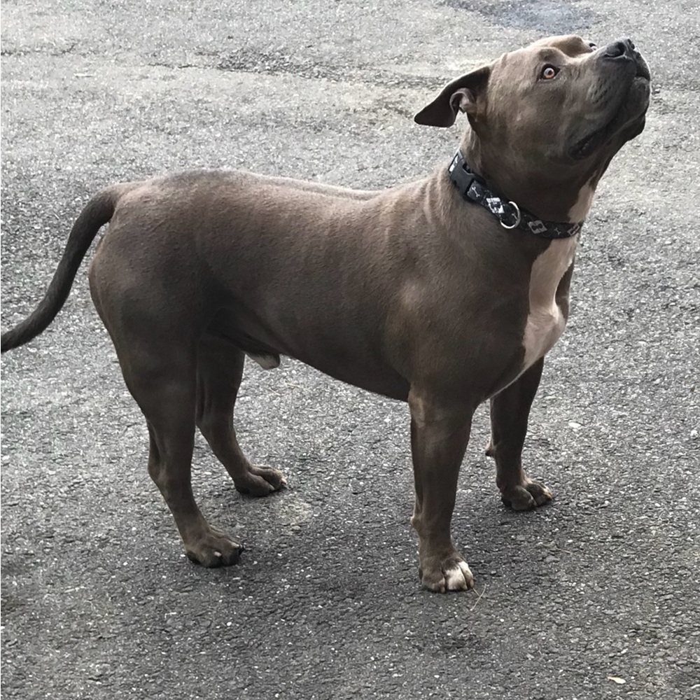 Like this listing to be notified of our lives